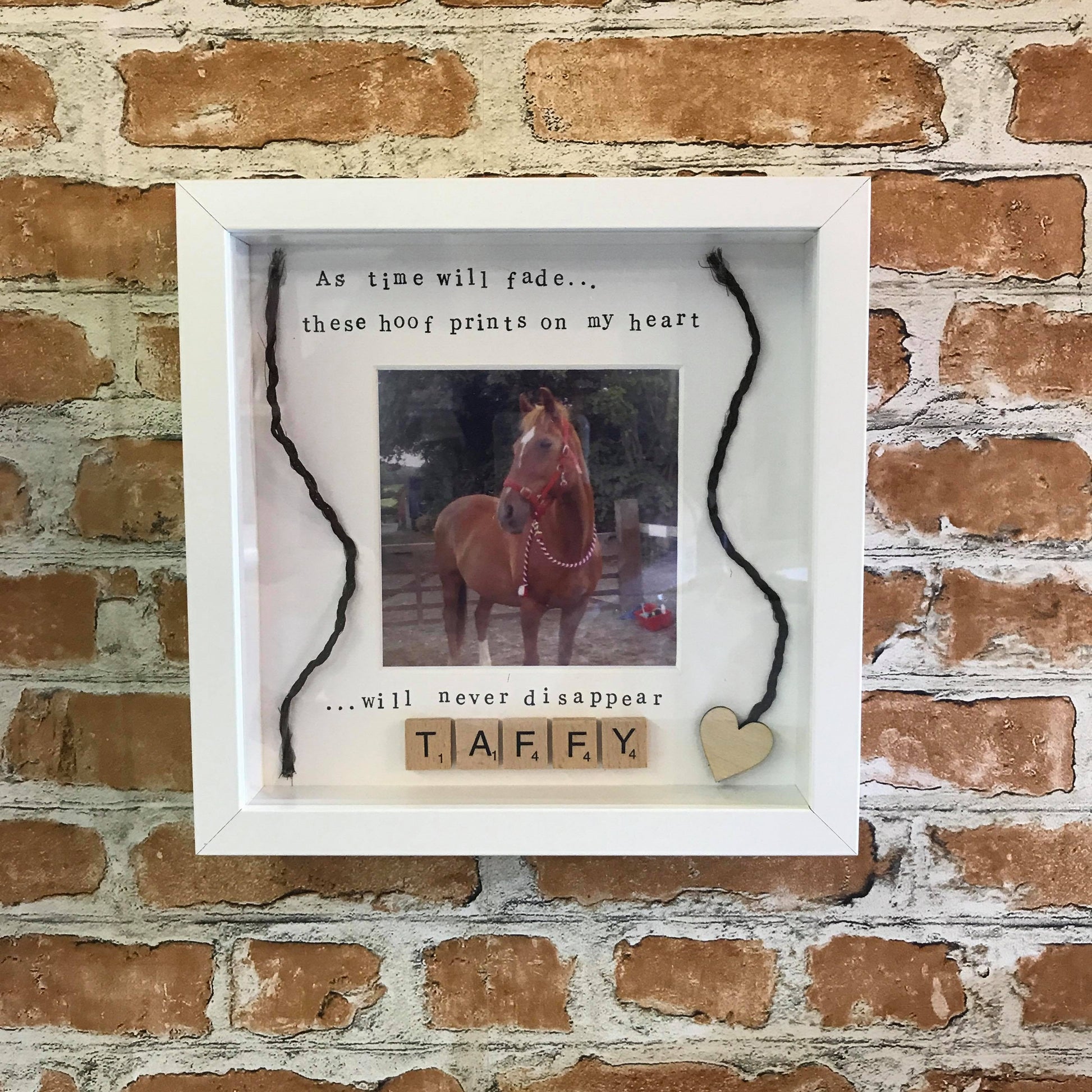 Horse Pet Memory Photo Frame from The Wrong End of Town