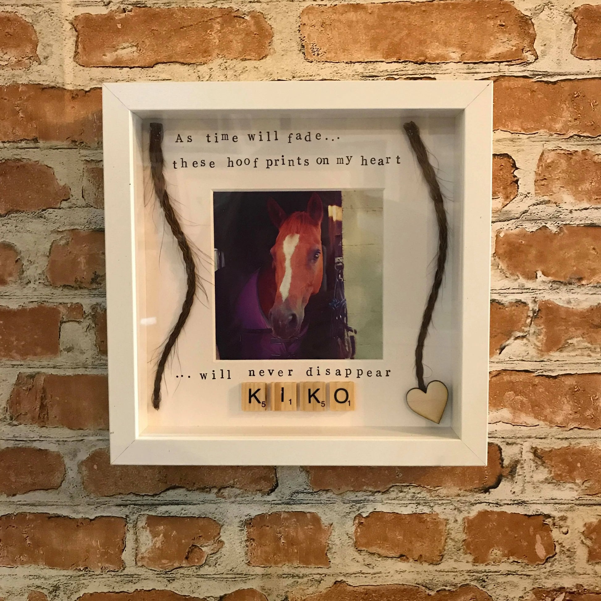 Horse Pet Memory Photo Frame from The Wrong End of Town